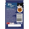 Felix влажный корм для взрослых кошек суп с курицей в паучах - 48 г х 36 шт фото 2