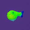Gloxy флуоресцентная аквариумная декорация рыба шар на леске, желтая 8х5х5,5 см фото 2