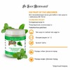 Iv San Bernard Fruit of the Grommer Mint Восстанавливающая маска для любого вида шерсти с витамином В6 1 л фото 2