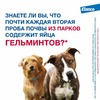 Elanco Мильбемакс таблетки от глистов для щенков и мелких собак (2 таблетки) фото 2
