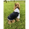 Толстовка с капюшоном OSSO-fashion для собак любого возраста миниатюрных мелких и средних пород из велюра цвета графита - р. 28 фото 2