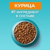 Purina One сухой корм для кошек для красивой шерсти и здоровой кожи с курицей - 750 г фото 2
