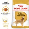 Royal Canin Golden Retriever Adult полнорационный сухой корм для взрослых собак породы золотистый ретривер старше 15 месяцев - 3 кг фото 2