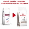 Royal Canin Hepatic HF16 полнорационный сухой корм для взрослых собак для поддержания функции печени при хронической печеночной недостаточности, диетический - 6 кг фото 2