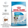 Royal Canin Mini Puppy полнорационный сухой корм для щенков мелких пород до 10 месяцев - 800 г фото 2