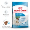 Royal Canin Mini Starter Mother & Babydog полнорационный сухой корм для щенков до 2 месяцев, беременных и кормящих собак мелких пород фото 2