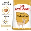 Royal Canin Chihuahua Adult полнорационный сухой корм для взрослых собак породы чихуахуа фото 2