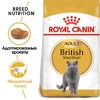 Royal Canin British Shorthair Adult полнорационный сухой корм для взрослых кошек породы британская короткошерстная фото 2