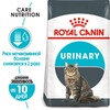 Royal Canin Urinary Care полнорационный сухой корм для взрослых кошек для поддержания здоровья мочевыделительной системы фото 2