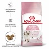 Royal Canin Kitten полнорационный сухой корм для котят в период второй фазы роста до 12 месяцев - 4 кг фото 2
