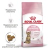 Royal Canin Kitten Sterilised полнорационный сухой корм для стерилизованных котят с 6 до 12 месяцев - 400 г фото 2