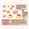 Sirius сухой корм для кошек с чувствительным пищеварением с индейкой и черникой - 10 кг фото 2