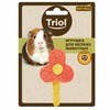 Triol Natural игрушка для мелких животных из люфы "Цветочек", 80 мм фото 2