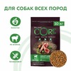 Wellness Core сухой корм для взрослых собак всех пород с ягненком и яблоком 10 кг фото 2