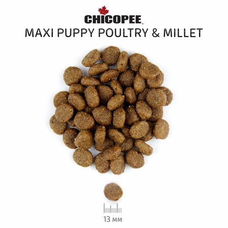 Chicopee CNL Maxi Puppy Poultry & Millet сухой корм для щенков крупных пород с птицей и просом - 2 кг фото 2