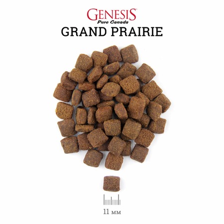 Genesis Pure Canada Grand Prairie Adult для взрослых собак всех пород с чувствительным пищеварением с курицей, буйволом и перепелками фото 2