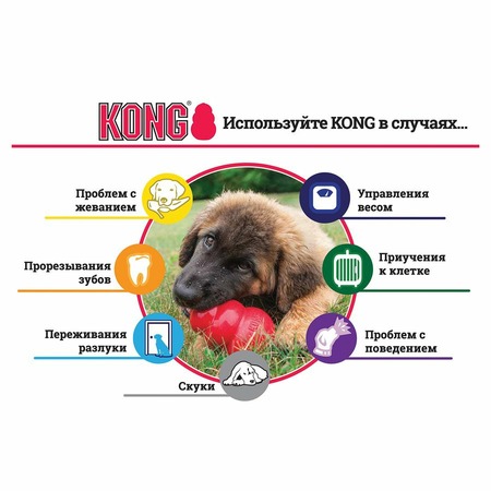 Kong Extreme игрушка для собак "КОНГ" очень прочная большая 10 см фото 2