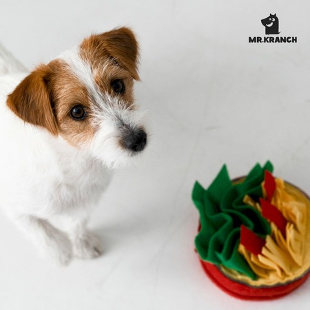 Mr.Kranch игрушка "Пицца" для собак, нюхательная - 18x18 см фото 2