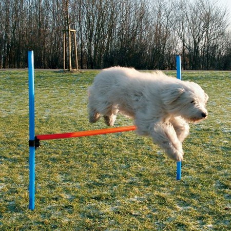 Набор для аджилити Trixie Jump для собак 1,29х1,15 м пластиковый фото 2