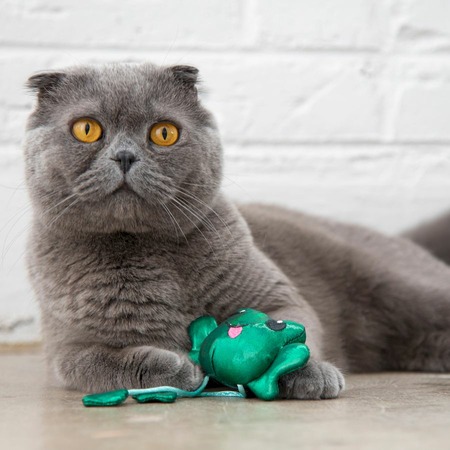 Petstages игрушка для кошек, танцующий лягушонок со звуком, с кошачьей мятой - 14 см фото 2