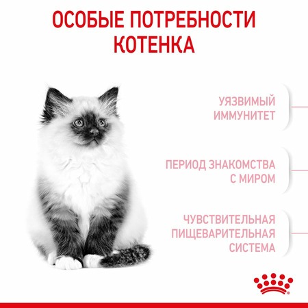 Royal Canin Kitten полнорационный сухой корм для котят в период третьей фазы роста до 12 месяцев - 1,2 кг фото 2