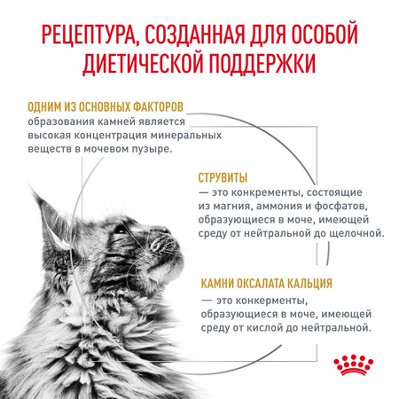 Royal Canin Urinary S/O для кошек, диетический, способствующий растворению струвитных мочевых камней - 350 г фото 2