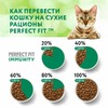 Perfect Fit Immunity сухой корм для поддержания иммунитета кошек, с говядиной и добавлением семян льна и голубики - 1,1 кг фото 11