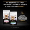 Pro Plan Cat Adult Light сухой низкокалорийный корм для взрослых кошек с избыточным весом и склонностью к полноте с индейкой - 1,5 кг фото 11