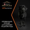Pro Plan Opti Balance Large Robust сухой корм для взрослых собак крупных пород с мощным телосложением с курицей - 14 кг фото 11