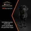 Pro Plan Adult Large Athletic сухой корм для взрослых собак крупных пород с атлетическим телосложением с ягненком и рисом - 3 кг фото 11