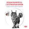 Royal Canin Gastrointestinal GI32 полнорационный сухой корм для взрослых кошек при острых расстройствах пищеварения, диетический - 2кг фото 11