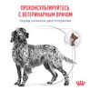 Royal Canin Canine Gastro Intestinal GI25 сухой диетический корм с птицей для взрослых собак всех пород при нарушении пищеварения - 15 кг фото 11