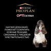 Сухой корм Pro Plan Opti Derma для взрослых собак средних пород с чувствительной кожей с лососем - 3 кг фото 11