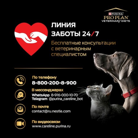 Purina Pro Plan Veterinary Diets CC CardioСare сухой корм для взрослых собак для поддержания сердечной функции - 3 кг фото 11