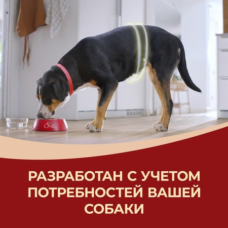 Purina ONE сухой корм для взрослых собак средних и крупных пород с высоким содержанием говядины и с рисом - 10 кг фото 11