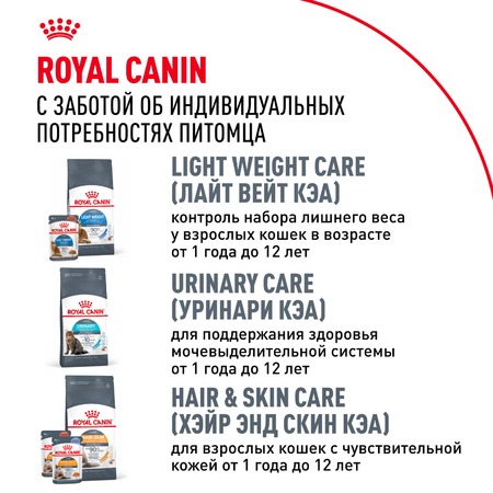 Royal Canin Maine Coon Adult полнорационный сухой корм для взрослых кошек породы мейн-кун старше 15 месяцев фото 11