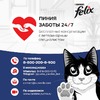 Felix Аппетитные кусочки полнорационный влажный корм для кошек, с форелью, кусочки в желе, в паучах - 75 г фото 12