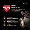 Pro Plan Sterilised сухой корм для стерилизованных кошек и кастрированных котов для поддержания органов чувств, с высоким содержанием лосося - 1,5 кг фото 12
