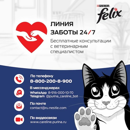 Felix Двойная Вкуснятина сухой корм для взрослых кошек с мясом - 10 кг фото 12