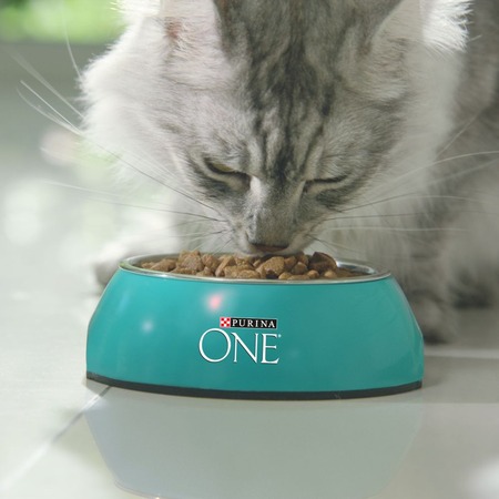 Purina One сухой корм для кошек для красивой шерсти и здоровой кожи с курицей - 750 г фото 12
