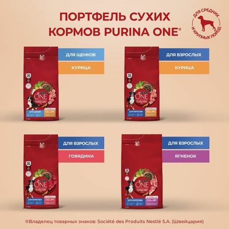 Purina ONE Adult сухой корм для собак средних и крупных пород, с курицей и рисом - 1,8 кг фото 12