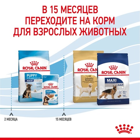 Royal Canin Maxi Puppy полнорационный сухой корм для щенков крупных пород до 15 месяцев фото 12