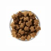 Eukanuba Adult Medium Breed полнорационный сухой корм для собак средних пород, с курицей - 3 кг фото 13