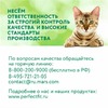 Perfect Fit Immunity сухой корм для кошек для укрепления иммунитета, с индейкой, спирулиной и клюквой - 580 г фото 13