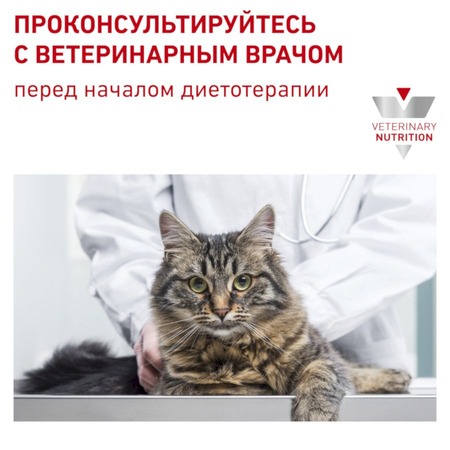 Royal Canin Gastrointestinal GI32 полнорационный сухой корм для взрослых кошек при острых расстройствах пищеварения, диетический - 2кг фото 13