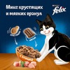 Felix Двойная вкуснятина полнорационный сухой корм для кошек, с птицей - 200 г фото 14