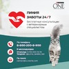 Purina One Природа Здоровья для стерилизованных кошек и кастрированных котов, с говядиной - 680 г фото 14