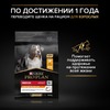 Pro Plan Opti Derma Medium сухой корм для щенков средних пород при чувствительной коже с лососем - 12 кг фото 14