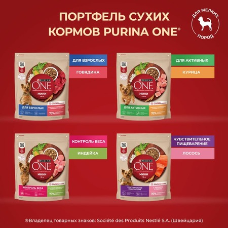 Purina ONE Mini сухой корм для собак мелких и карликовых пород, при активном образе жизни, с курицей и рисом - 600 г фото 14