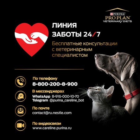 Purina Pro Plan Veterinary Diets NF Renal Function сухой корм для взрослых собак при хронической почечной недостаточности - 1,5 кг фото 15